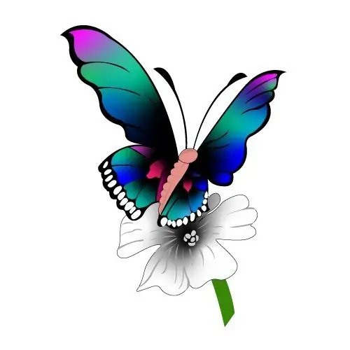 butterfly