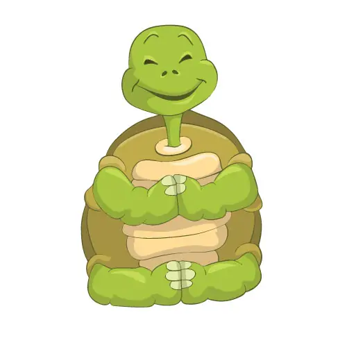 yoga-turtle1