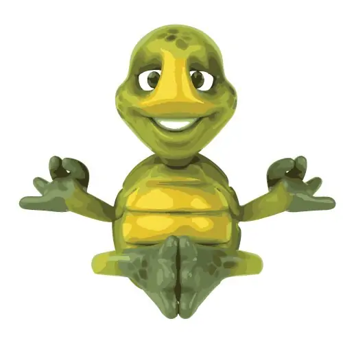 yoga-turtle2