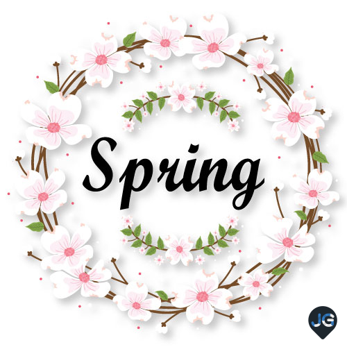 Spring Vector Illustration | Nature-Inspired Seasonal Design