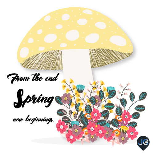 Spring Vector Illustration | Nature-Inspired Seasonal Design