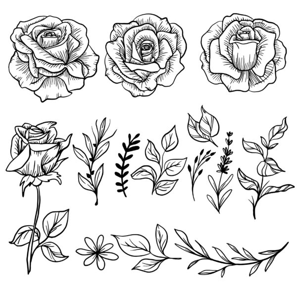 Rose Valentine’s Day Line Art - Elegant Rose Line Drawing for Romantic Designs