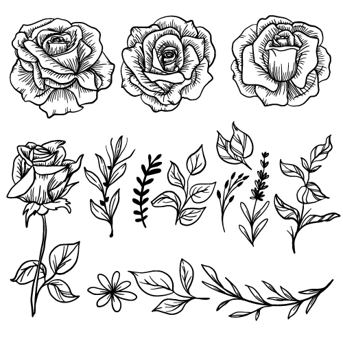 Rose Valentine’s Day Line Art - Elegant Rose Line Drawing for Romantic Designs