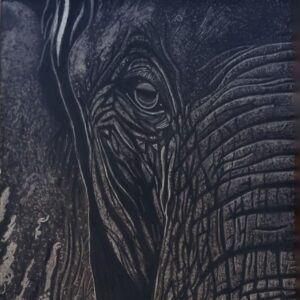 Handmade Animal Pencil Sketch – Elephant, Cat, Butterfly Artwork in Frame