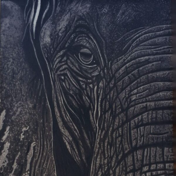 Handmade Animal Pencil Sketch – Elephant, Cat, Butterfly Artwork in Frame