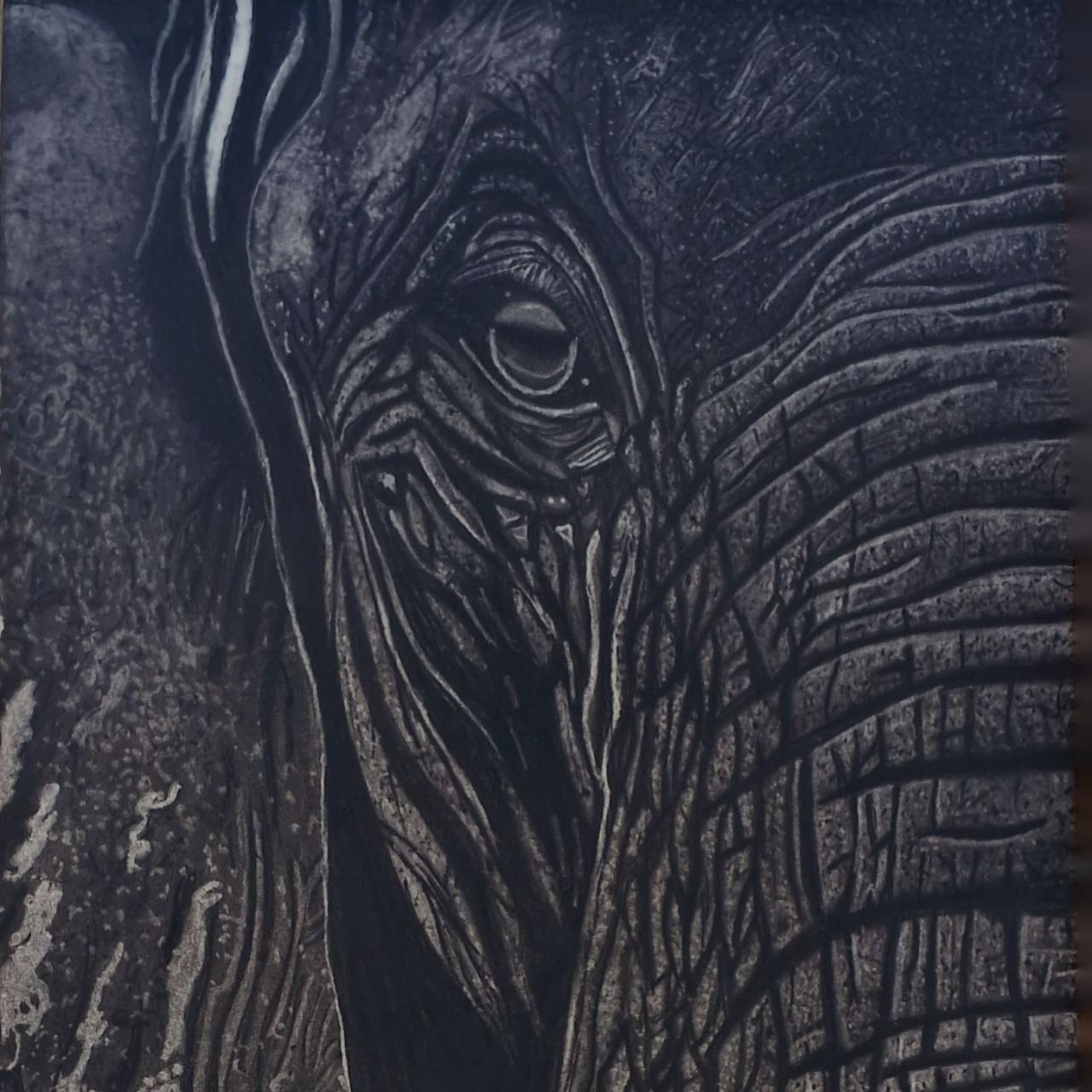 Handmade Animal Pencil Sketch – Elephant, Cat, Butterfly Artwork in Frame