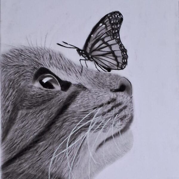 Handmade Animal Pencil Sketch – Elephant, Cat, Butterfly Artwork in Frame - Image 2